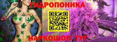 крисы Наро-Фоминск