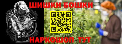 сатива Нальчик