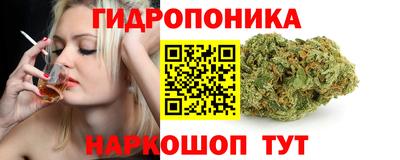 сатива Нальчик