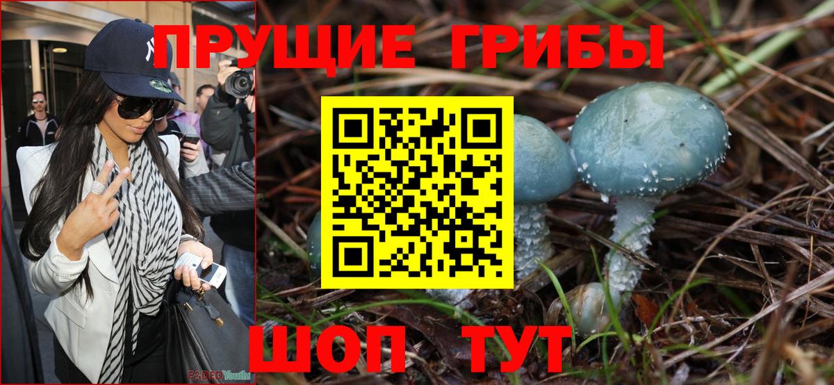 Троицк  Галлюциногенные грибы Psilocybine cubensis  Вход с VPN 